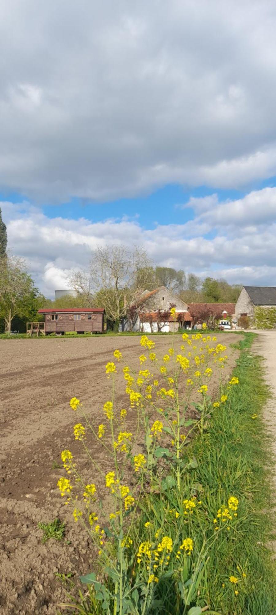 アヴァレ La Ferme De L'Isle Et Sa Roulotte Bed & Breakfast エクステリア 写真